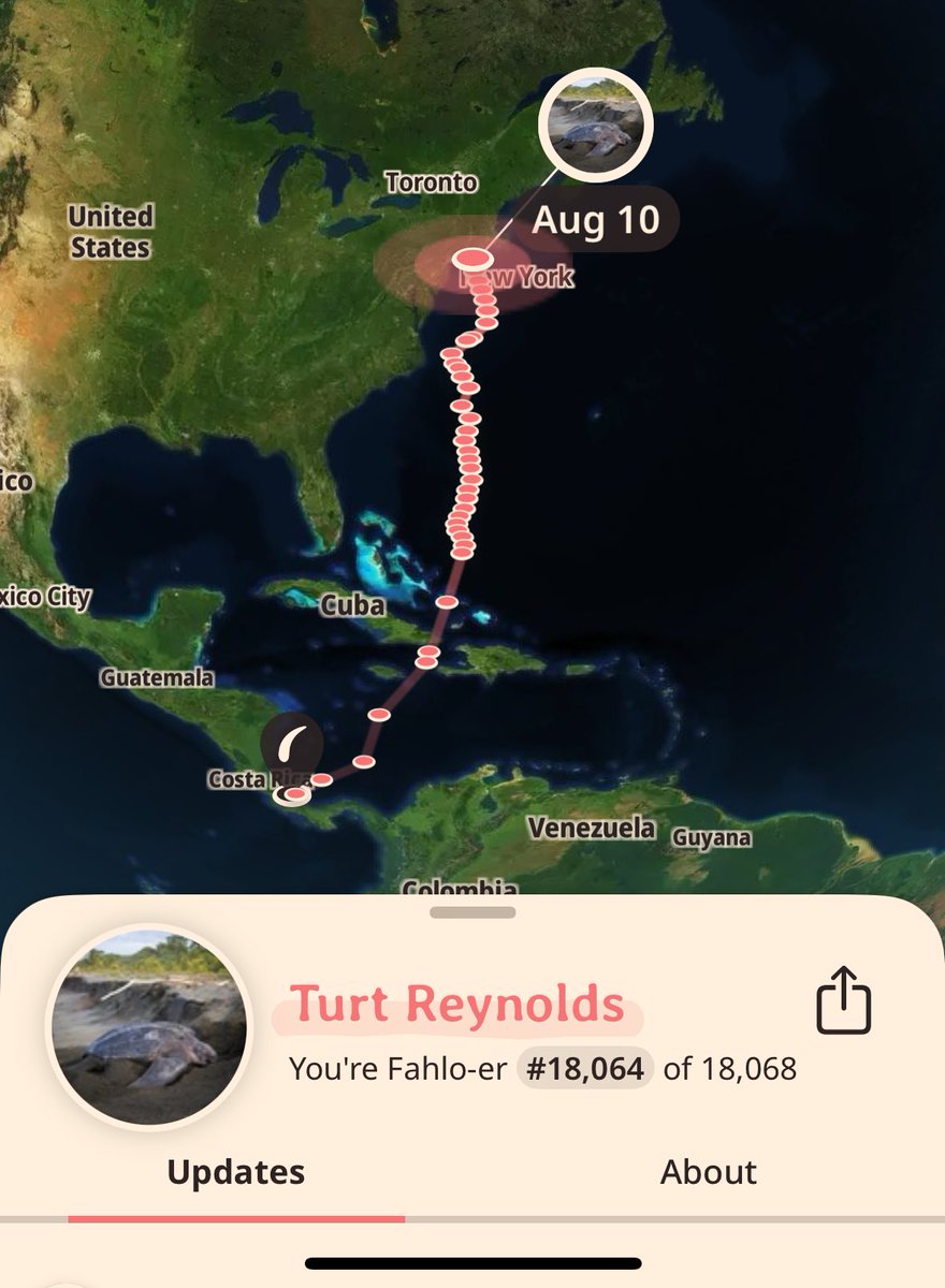 bought one of those plushies that when you buy it you get access to an animal they track and idk how legit it is but i’m apparently tracking a leatherback sea turtle named turt reynolds and this is so great