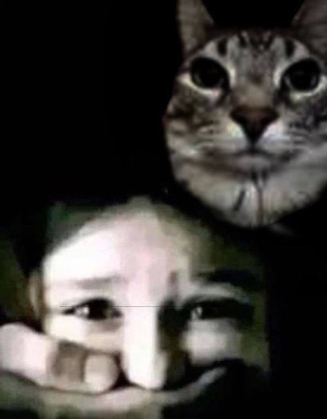 ꒰ა pudding ໒꒱ is seeing wish ★ (@wichuponastar) on Twitter photo 