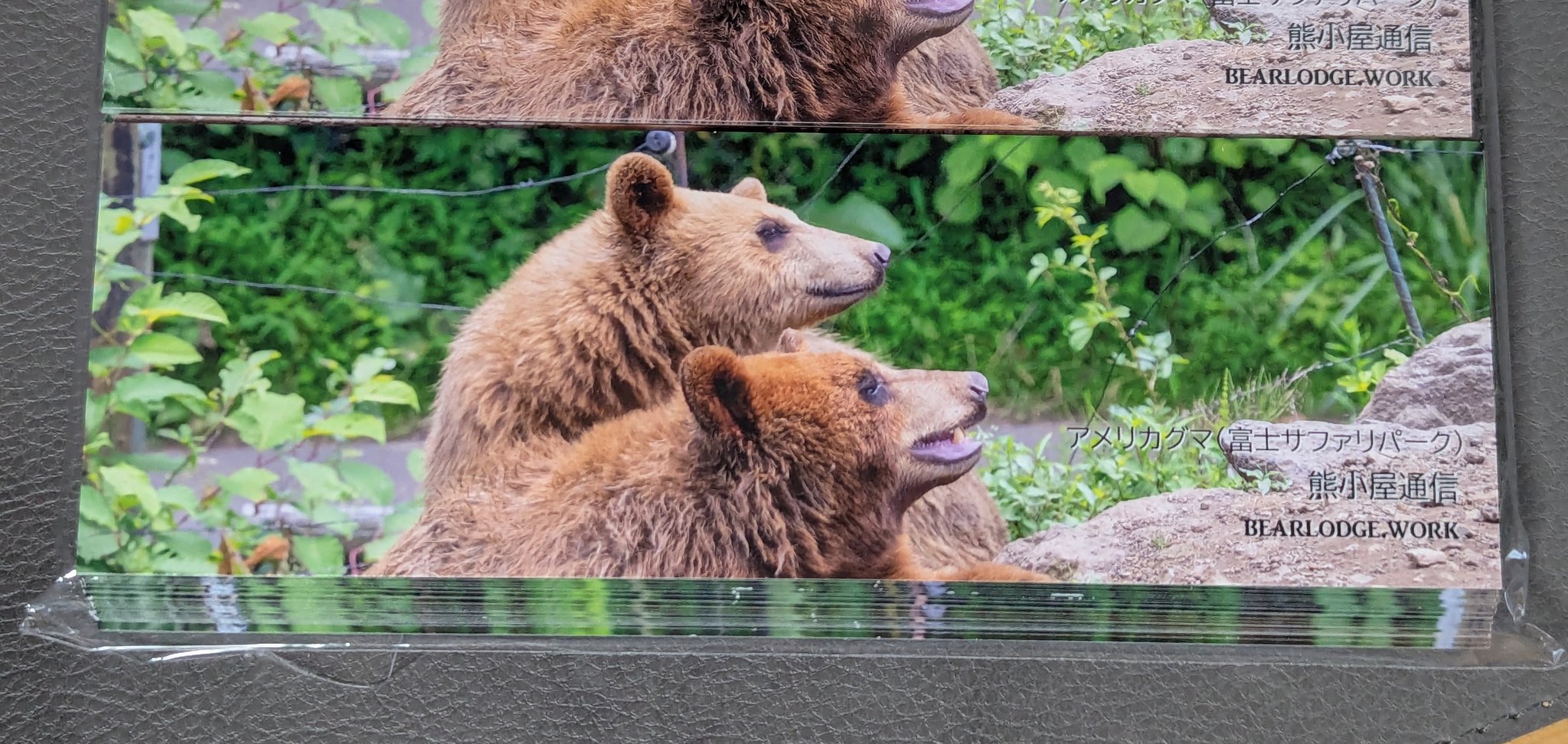 本格的モヘヤの熊 のぶクマ🐻羆と香辛料🐻C106 日曜日 東6 “ク”－37b on X: 