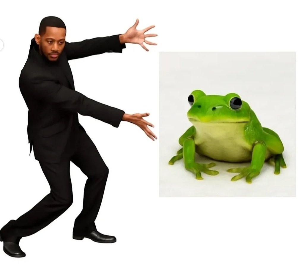 No Context Frogs (@nocontextfrogs) on Twitter photo 