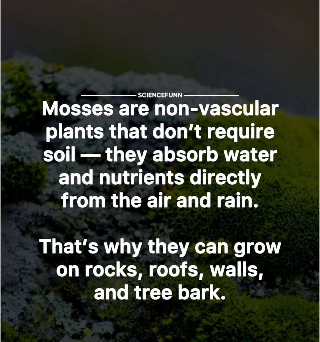 DaleenDynamic's tweet photo. Nature provides unexpected solutions to mitigate climate change. #SaveSoil #SoilFirst #PolicyForSoil #SadhguruJV #cpsavesoil #ConsciousPlanet https://t.co/IZ9vQ8GeMl