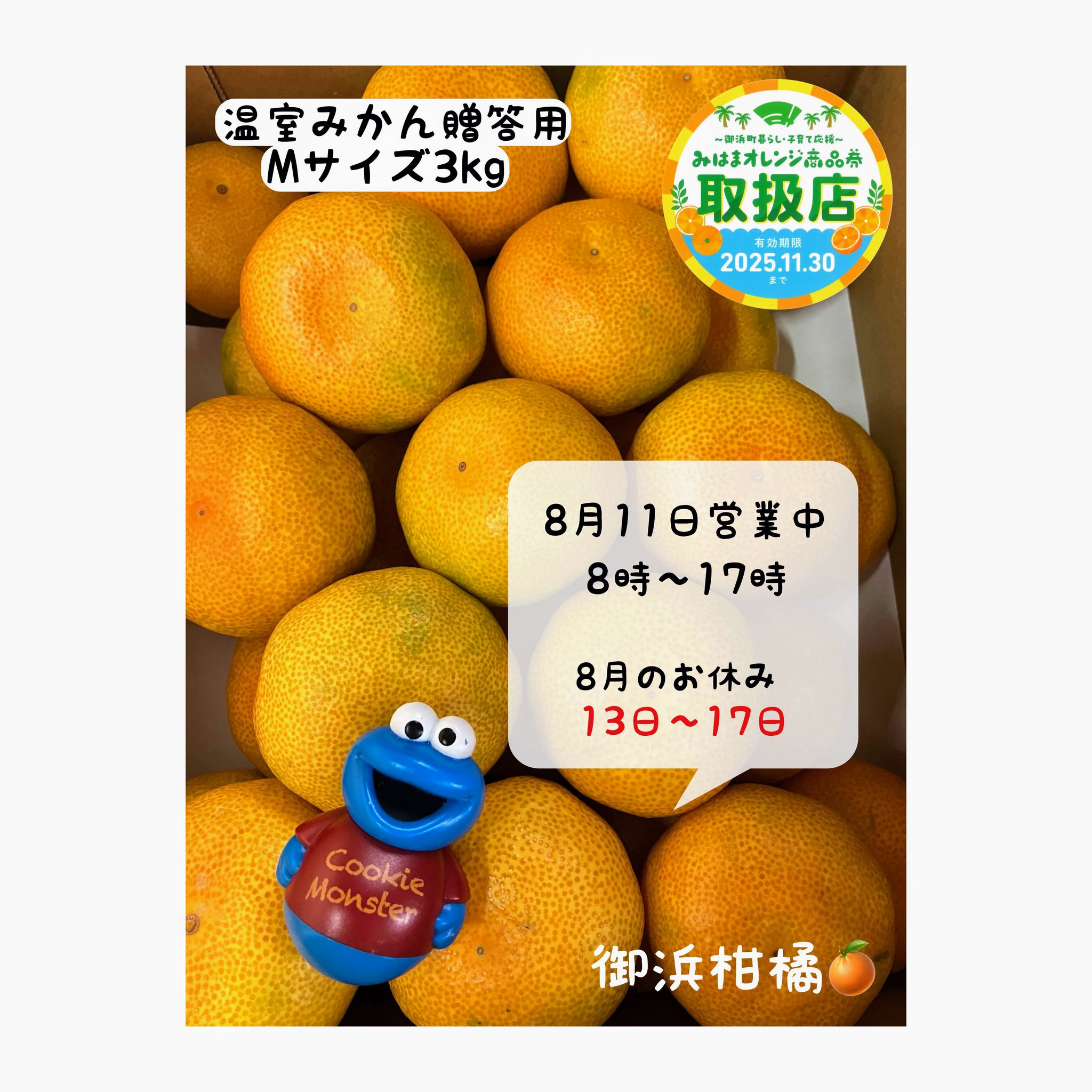 こだわりみかん”の御浜柑橘 on X: 