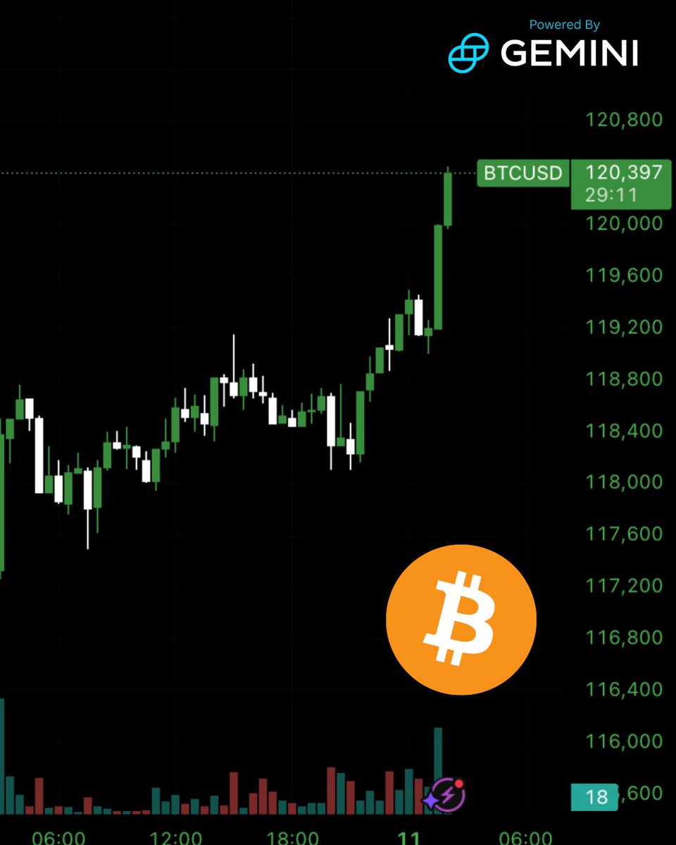Bitcoin Archive tweet media