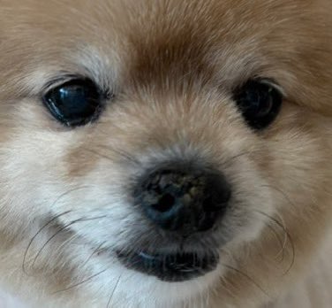 <a href="/baksaleee/">초전박살</a> 누나 든든하다