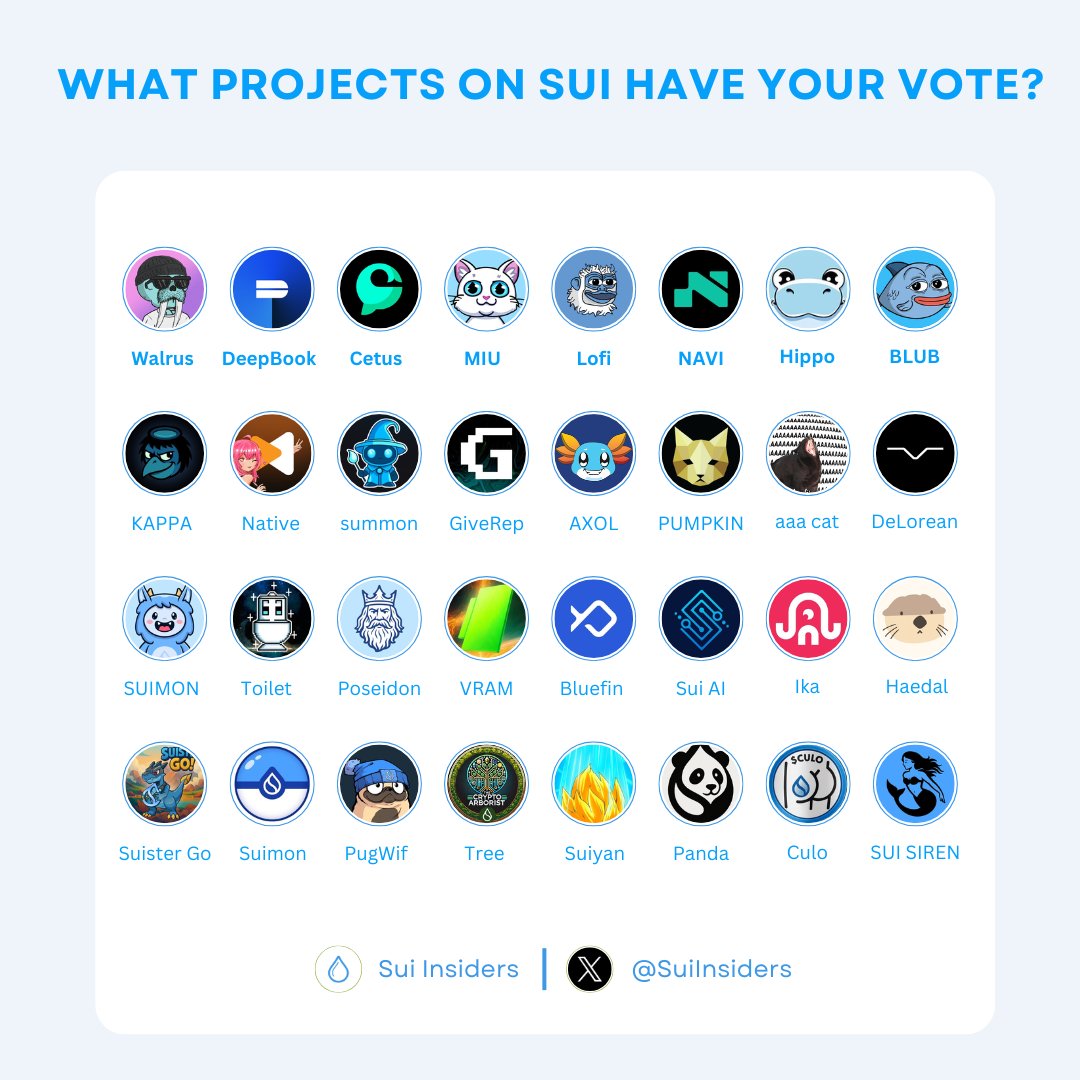 WHAT PROJECTS ON SUI HAVE YOUR VOTE? 🧐

$Sui is rising to claim its spot among today’s top blockchains. All eyes are on the project's building here, attracting both investors and liquidity 🔥

Which project are you backing? 🤔

#Sui #SuiNetwork #SuiInsiders
