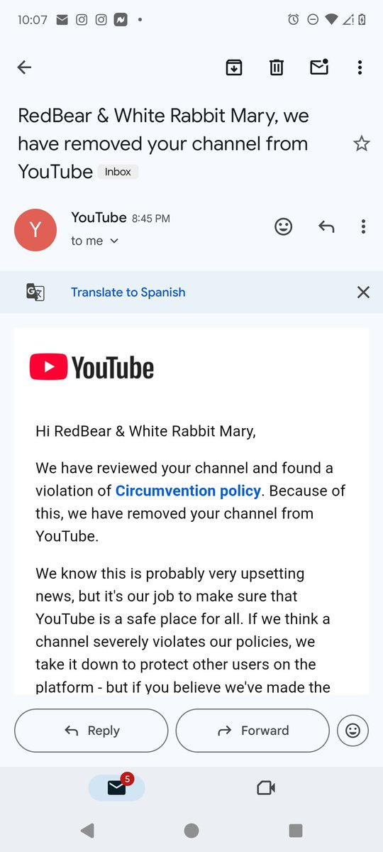 RedBearmary1983's tweet photo. @TeamYouTube can you unterminated my account? https://t.co/Fo73bihj1w