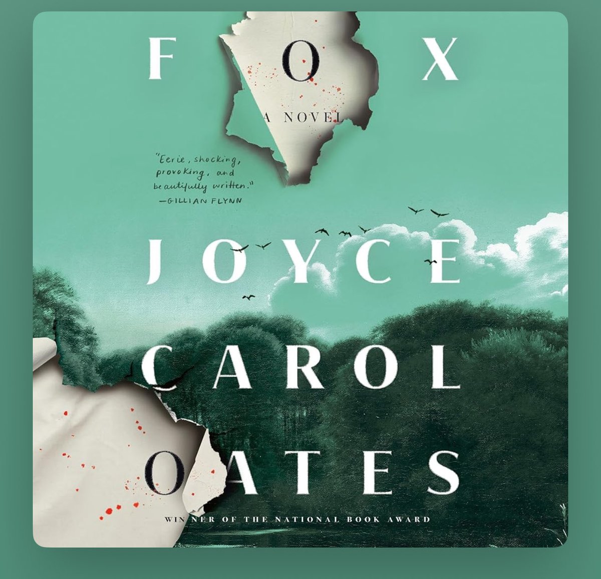 eli friedmann tweet media