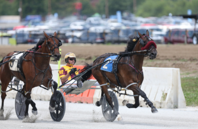 Indiana Harness (@indianaharness) on Twitter photo Swiss Lights and Ricky Macomber Jr. win Fox Stake: indianaharness.com/swiss-lights-e… Story by <a href="/DarbsCullipher/">Darbie</a> #racelikeahoosier Photo by <a href="/harnessindiana/">Dean Gillette</a> <a href="/INStandardbred/">Indiana Standardbred Breed Development Program</a> Swiss Lights and Ricky Macomber Jr. win Fox Stake: indianaharness.com/swiss-lights-e… Story by <a href="/DarbsCullipher/">Darbie</a> #racelikeahoosier Photo by <a href="/harnessindiana/">Dean Gillette</a> <a href="/INStandardbred/">Indiana Standardbred Breed Development Program</a>