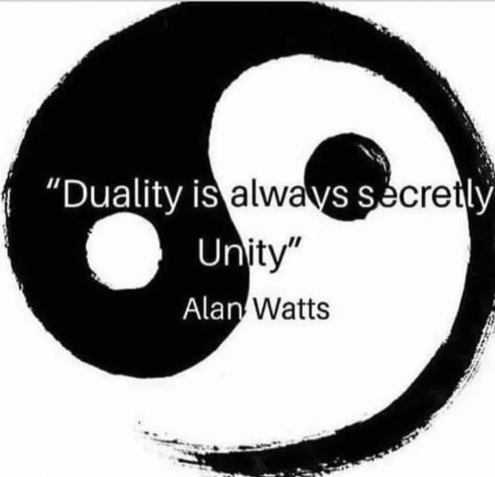 maximumpain333's tweet photo. Duality and Polarity imply the Sing-U-Larity.

✨🙌🏾💫 https://t.co/cdFlEYeUdx