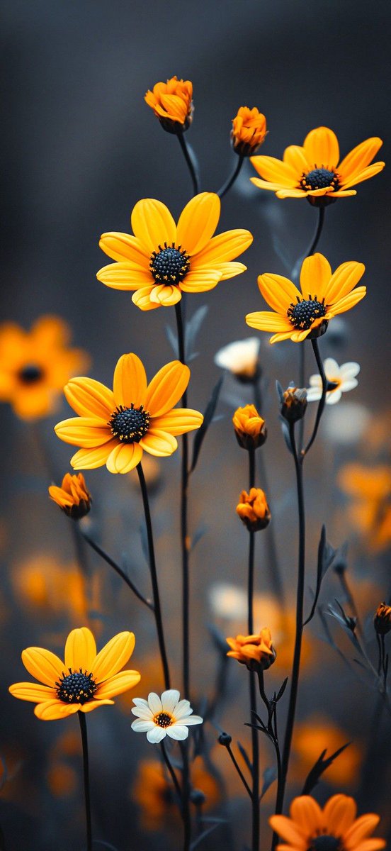 escape056's tweet image. 