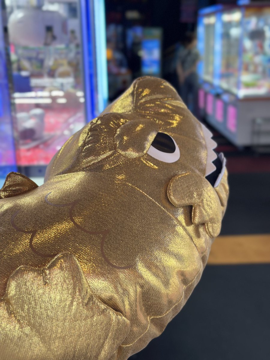 Tchigiri_Retasu's tweet photo. おはよ！
これは昨日ゲットしたバカデカ金シャチ‼️ https://t.co/0ujwS6gMNN