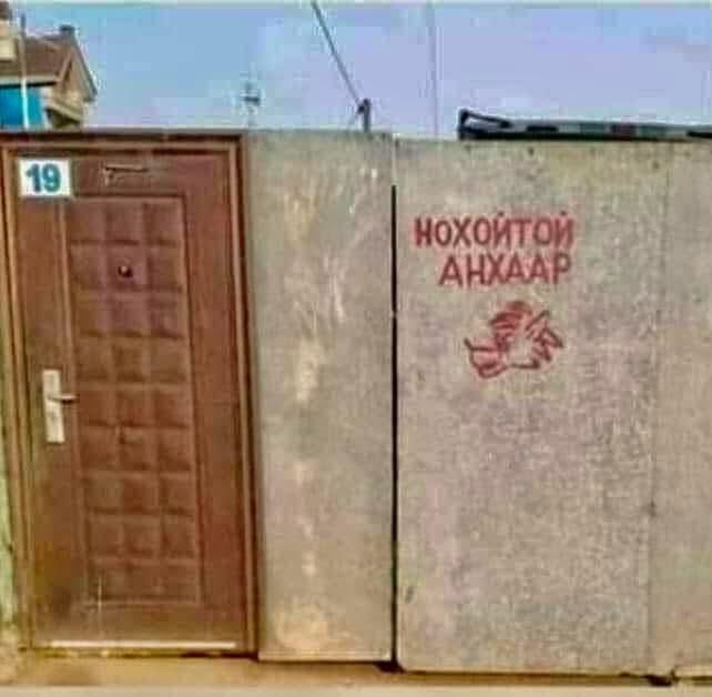 Аа худлаа чонотой юм байж🤔😜😂