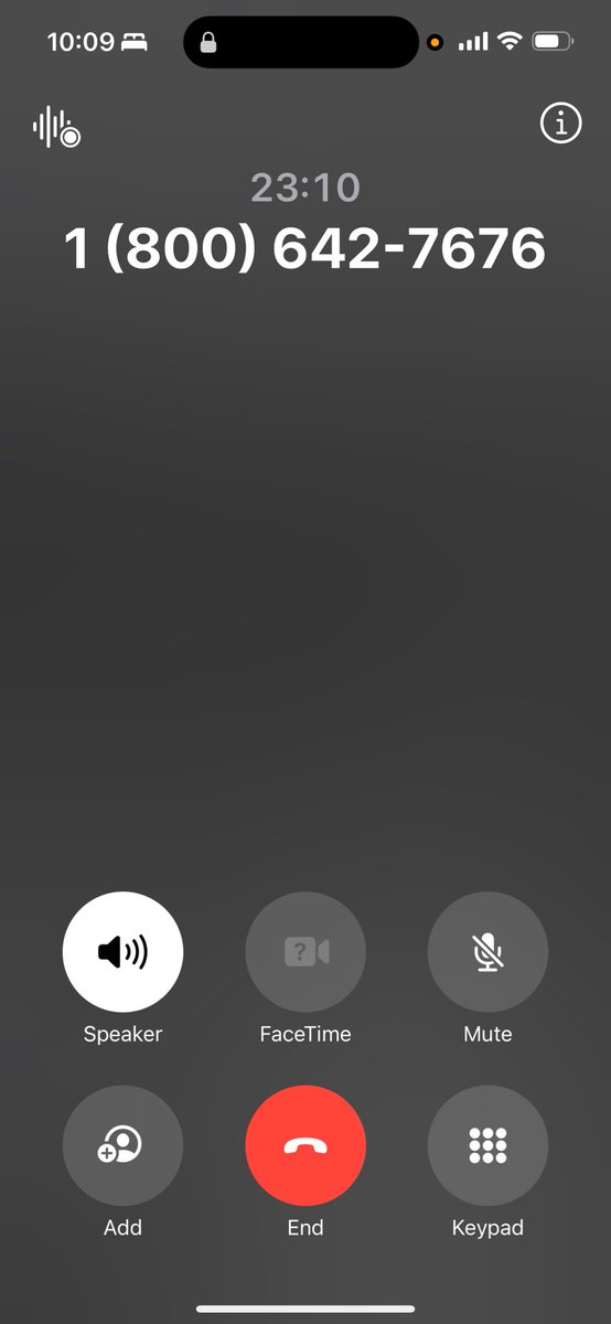 XessTranslator tweet media