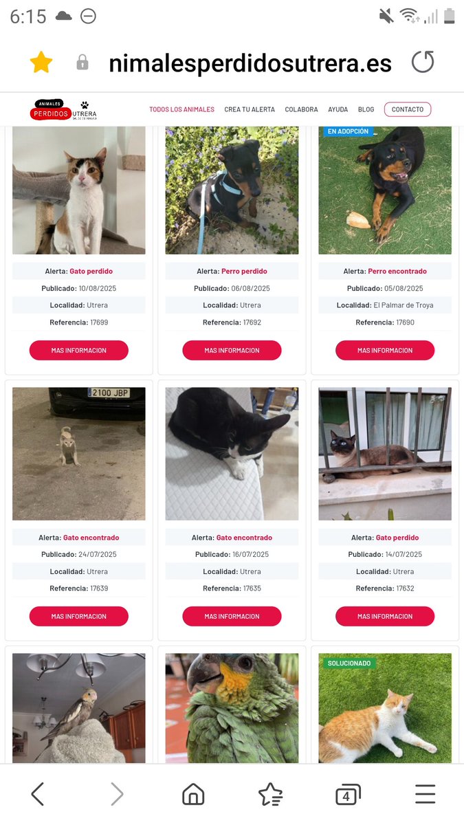 AnimalesU's tweet photo. ¿Has perdido o encontrado un animal en #Utrera o sus pedanías?

Consulta nuestra web para ver los animales ya publicados o crea una alerta para avisar a nuestra red de voluntarios.     

📲 Accede aquí 👉 https://t.co/r8AaMpfl4h https://t.co/RK32jQnZVo