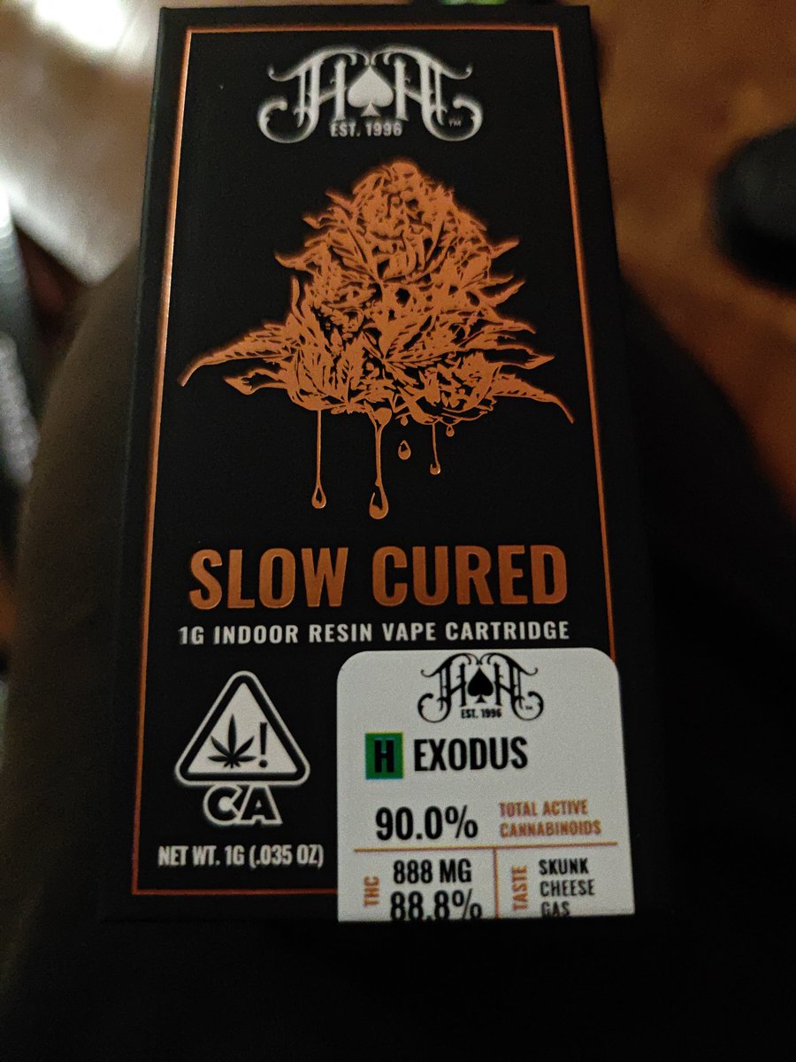 Disingenuous 🅅 𓅓 tweet media