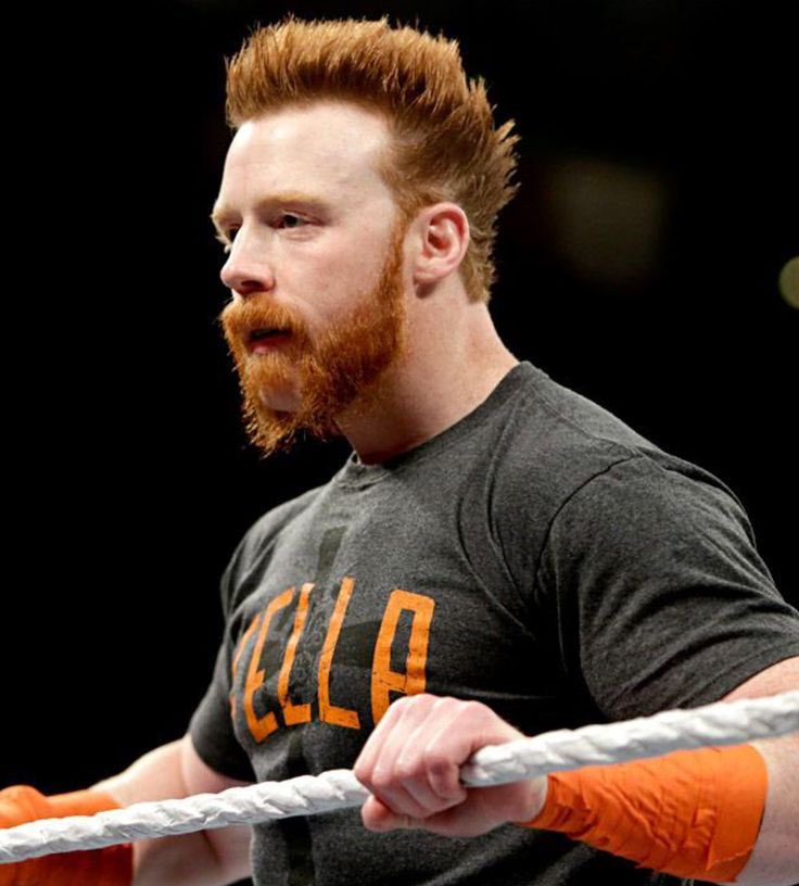 Day 98 of tweeting until Sheamus Wins the IC Championship