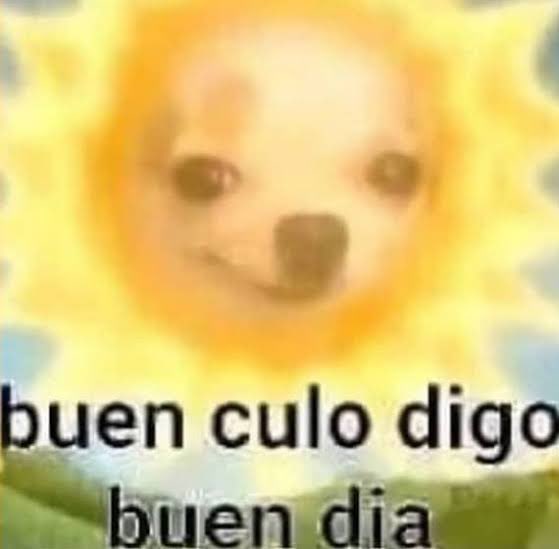 Ulti Papitas tweet media