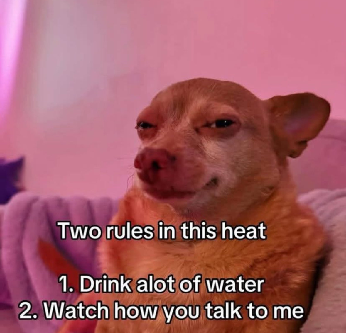 Respectful Memes (@respectfulmemes) on Twitter photo 