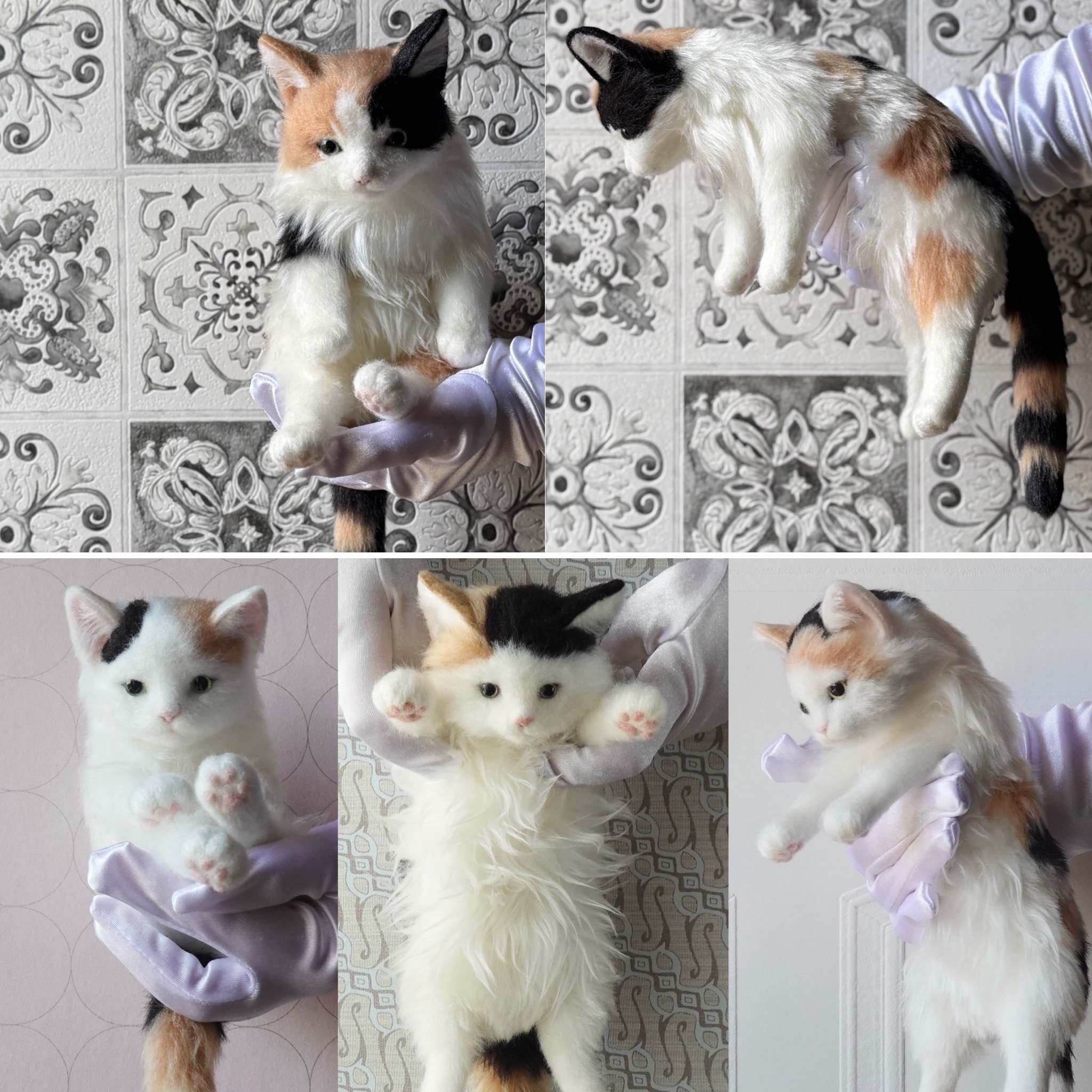 ポッケにゃん♡エキゾチックロングヘア♡子猫ちゃん♡アートドール♡ぬいぐるみ♡ アートドール☆ぬいぐるみ☆お腹ぽっこり～エキゾチック子猫