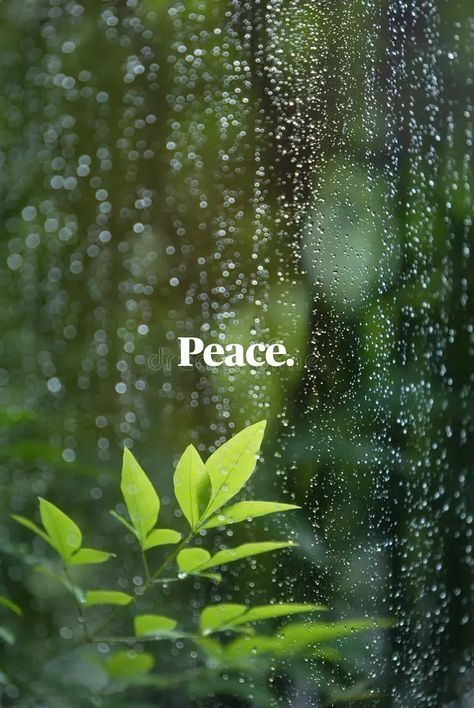 POSITIVITY (@positivitysaid) on Twitter photo 