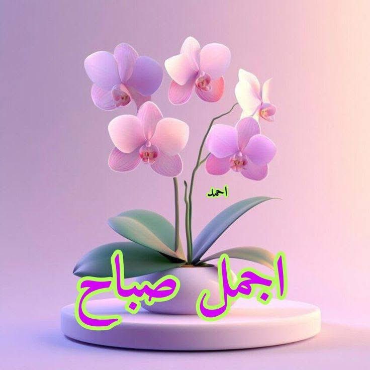 عراقيه (@197kmkk) on Twitter photo 