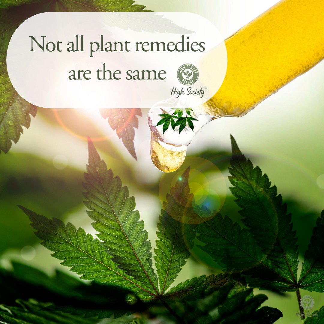 HiForestReleaf's tweet photo. Not all plant remedies are the same.
Read more here: https://t.co/4fdqcP4XES
#NaturalWellness #FunctionalFoods #HighForestReleaf #MindBodyHealth #HolisticLiving https://t.co/jYv436TaD0