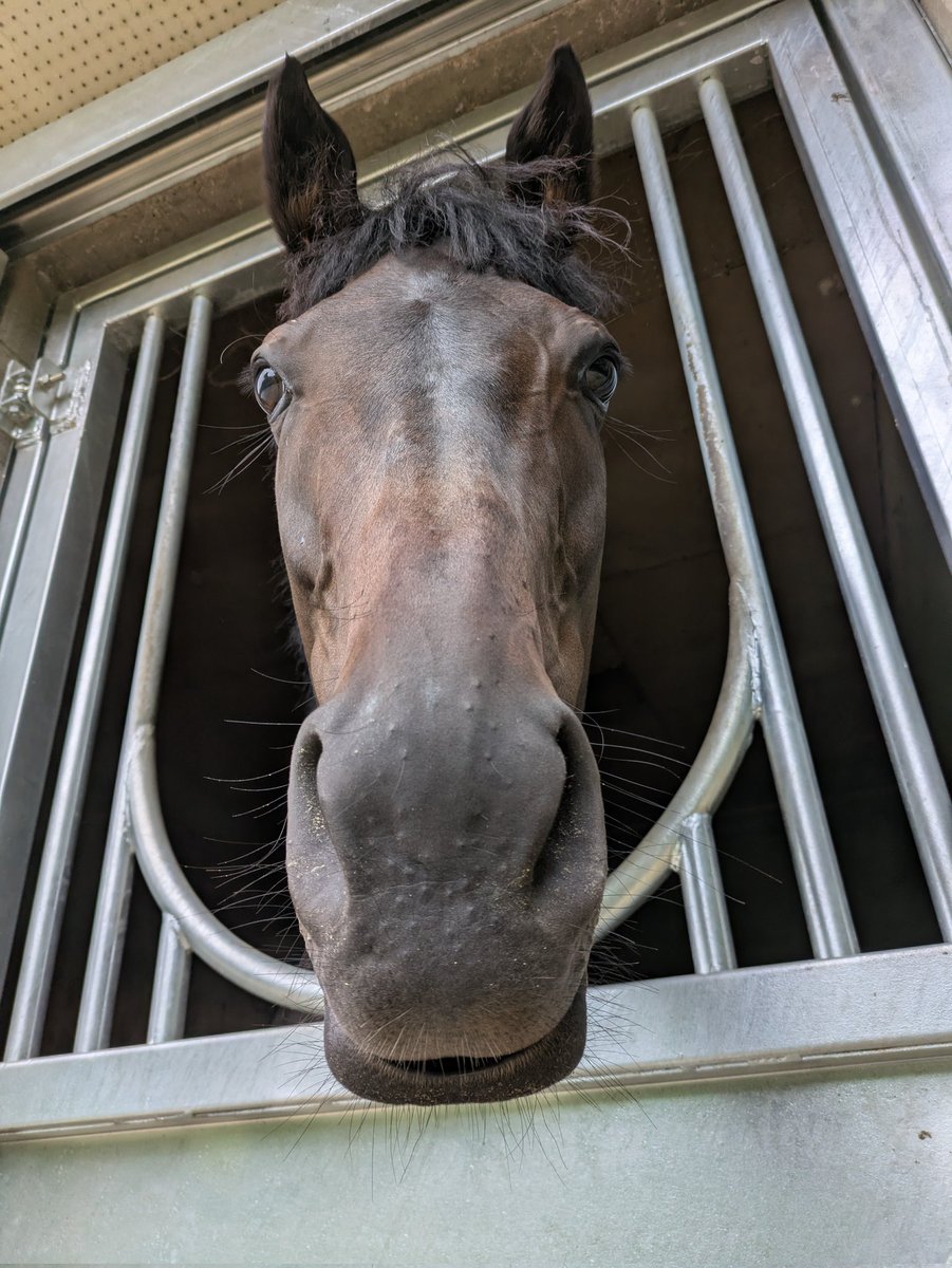 この表情でしか得られないものがあります🤤💕

＼ほわ〜〜／      ＼ふょ〜〜／