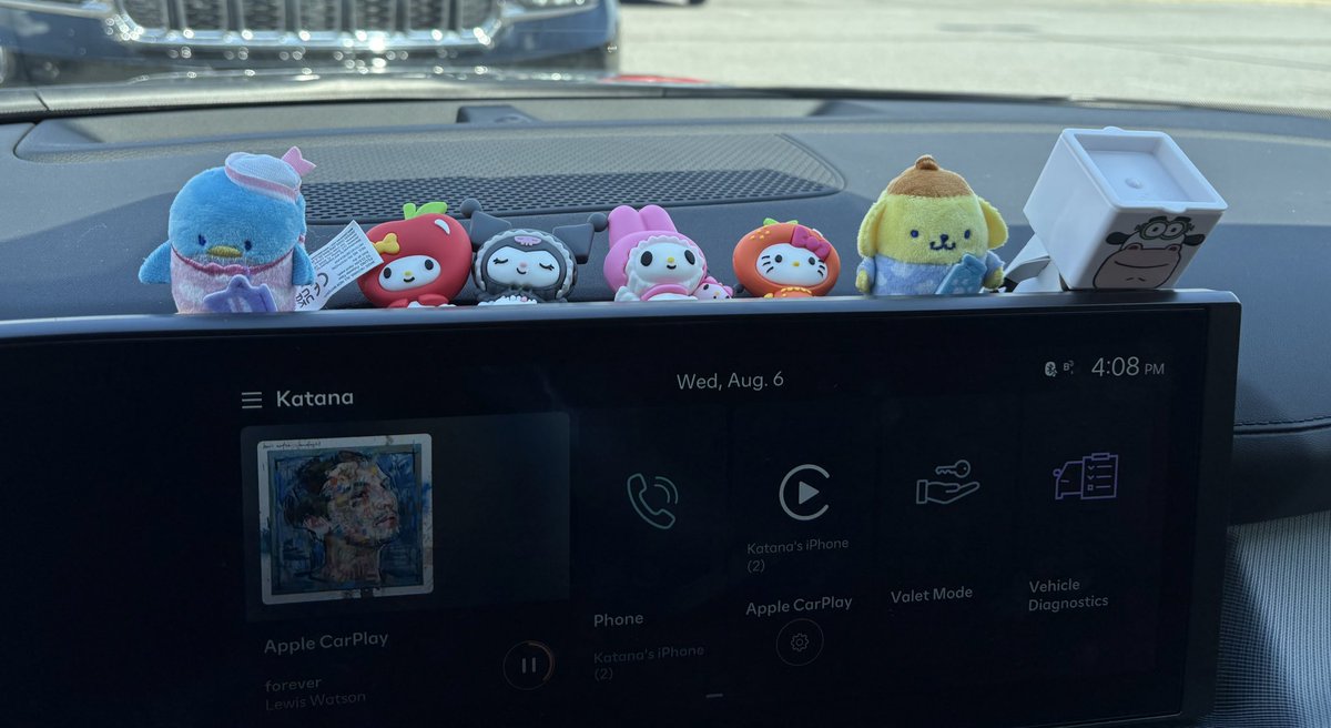 im still alive, i got a new car, started making biscuits at work in a chef coat that doesnt look quite right, and i have a sanrio blind box obsession