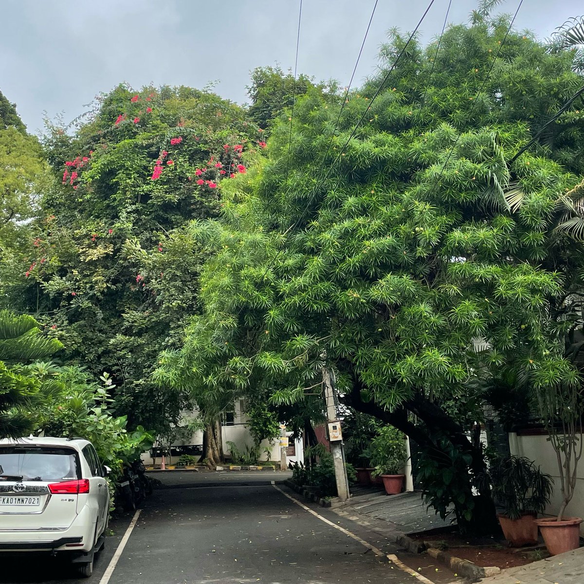 sarath_kumar6's tweet photo. If Bangalore was a colour pallete
#Bangalore https://t.co/5UnuFHSFPx