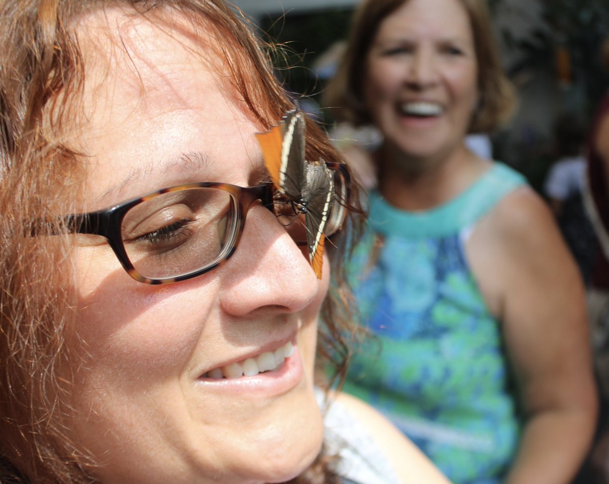 Nigel Maxwell tweet media