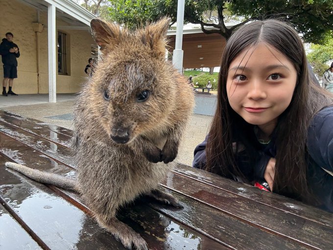 あいにゃんのTwitter画像66