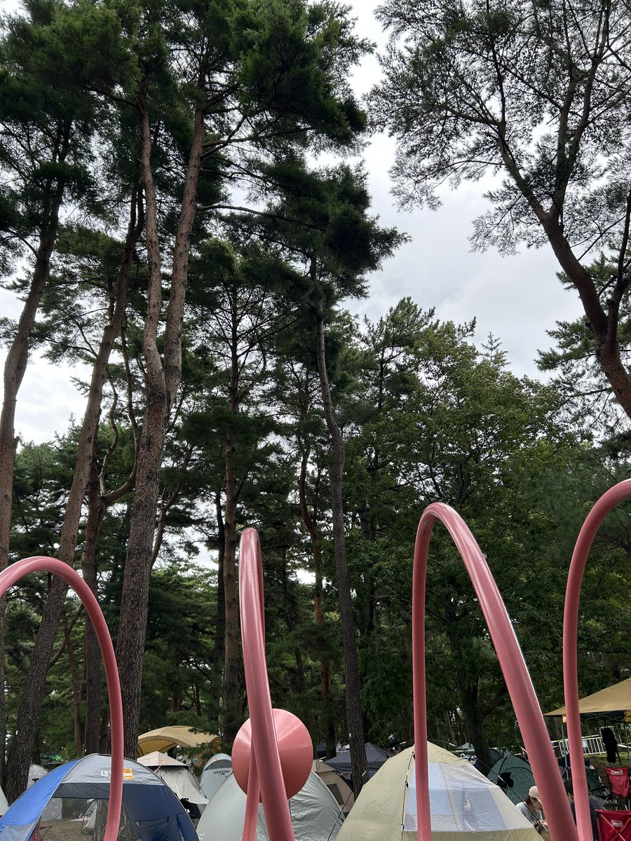 母から子への英才教育の付き添い
暑すぎず良い感じかも
テントサイト🏕️で作戦会議