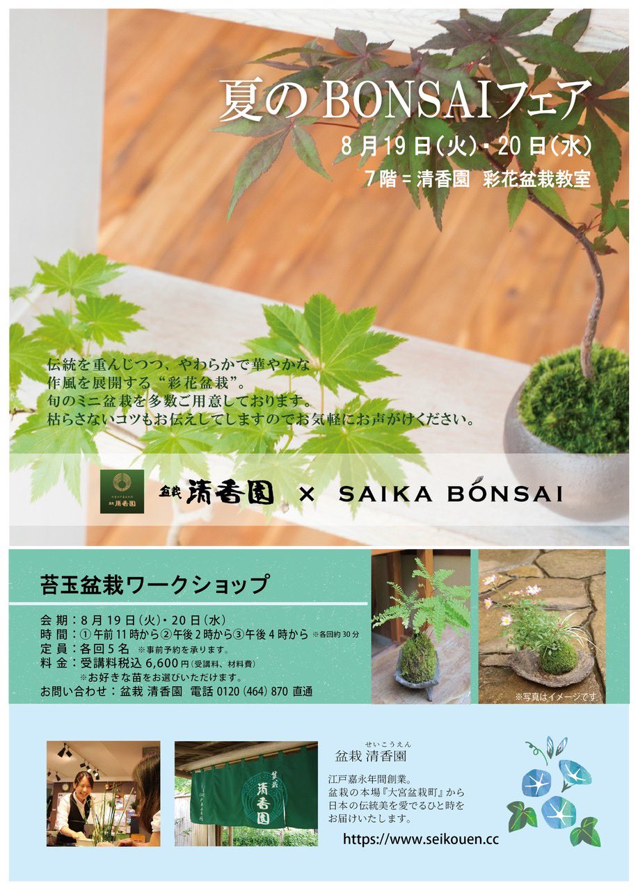 清香園美術盆栽 : 日本の粋、江戸の粋　本　定価10,476円 清香園美術盆栽 日本の粋 江戸の粋 定価10 476円 盆栽 本 写真