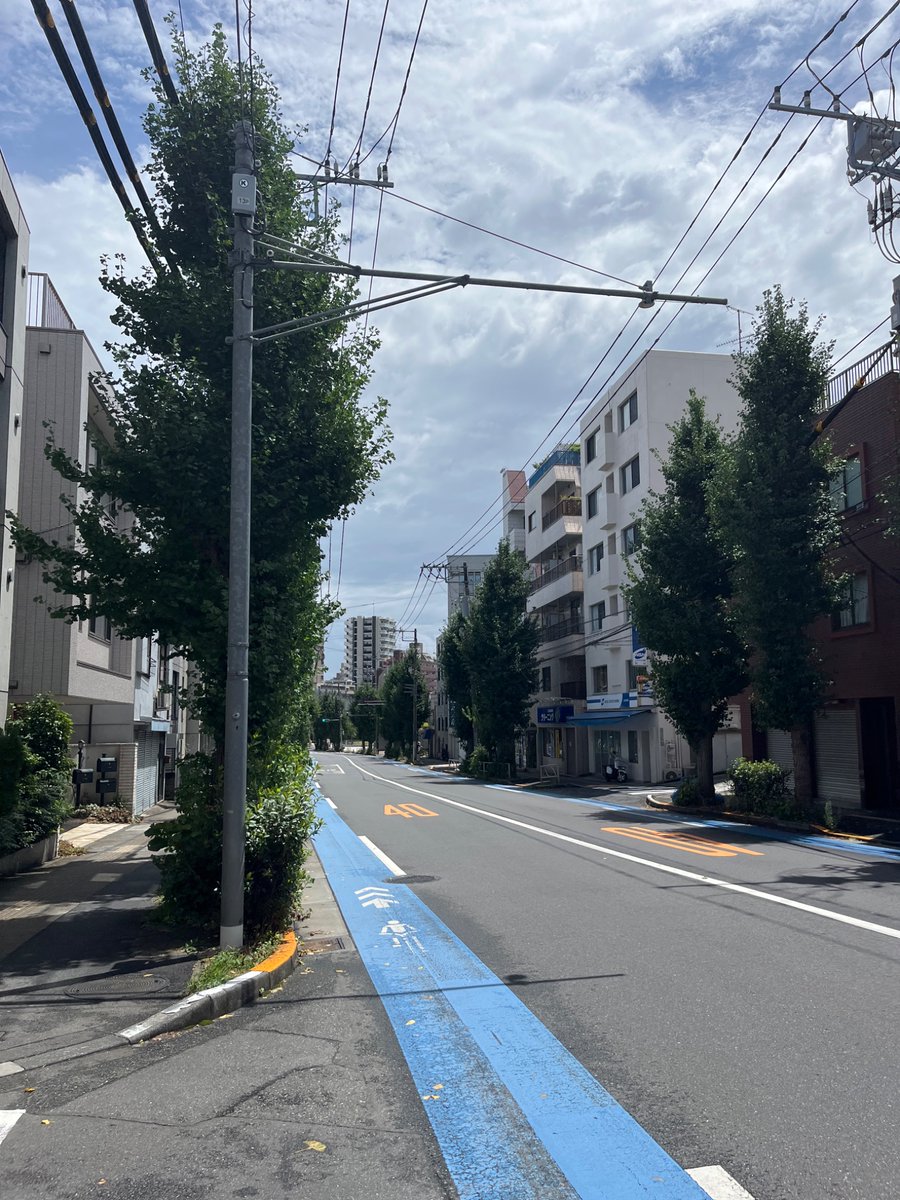 StatusHunting's tweet image. 三連休最終日の月曜日！
雨も上がって、なんだか気分もスッキリするね✨
せっかくの晴れ間、体を動かして心と体のリフレッシュしちゃおう🏃‍♀️
東大までレッツジョギング！
今日も一日、自分らしく楽しんでいこうね😊
みんなも素敵な一日を〜！