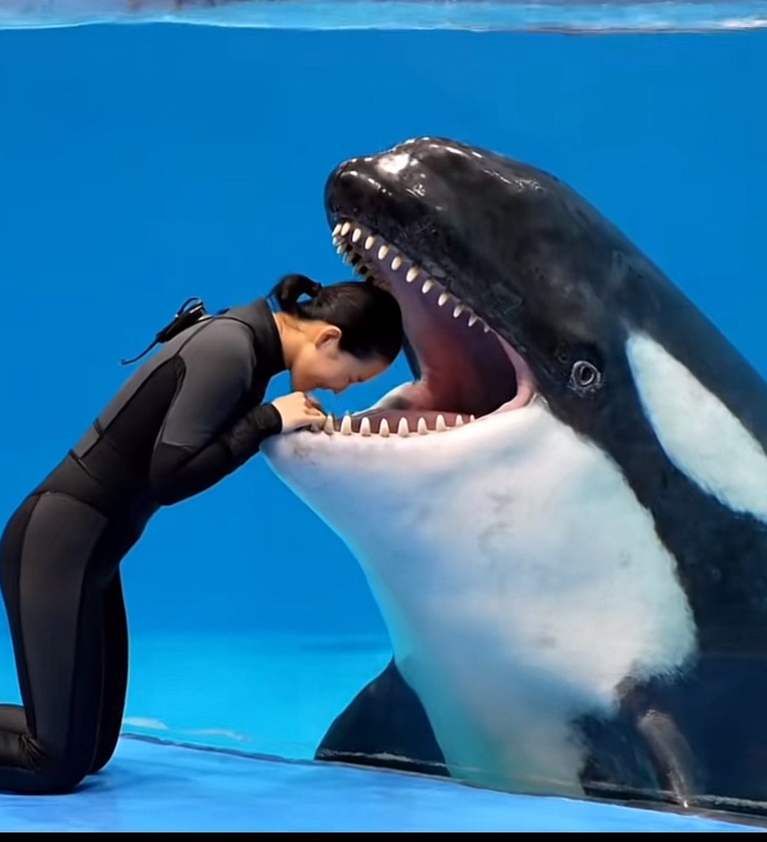 Jayram Krishnan DO MBA tweet media