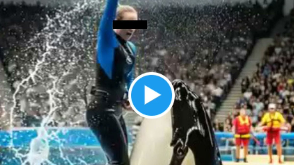 🚨Found Full Original Video 
Orca Trainer Jessica Radcliffe Is Attacked by a whale | Shocking Accident 🤮 Caught on Camera  Jessica Radcliffe Accident full video #jessicaradcliffe
💘🚨😘🥰😜😘❤️‍🐋🐬🦈👇

hino-sister-hong-g.blogspot.com