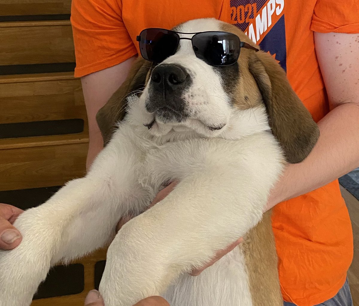 Geeked up: Locked in: