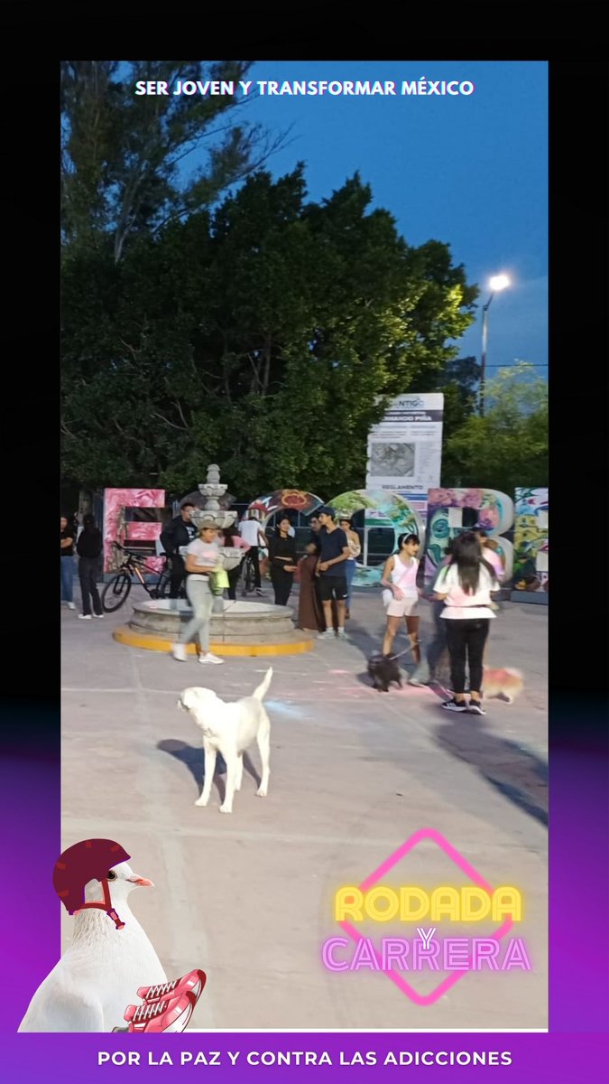 Tec_SanJuan's tweet image. 📍 Pedro Escobedo
🚴‍♀️🏃‍♂️ #TecNMenAcción #InformaTec
En el #DíaDeLaJuventud2025, el #TecNM - San Juan del Río participó en la Rodada y Carrera Nacional por la Paz y Contra las Adicciones. 💛
#JuventudesQueTransforman #RodadaJovenLaPaz
#ComunidadTecNM #TodosSomos #TecSanJuan ⚪🔴🔵