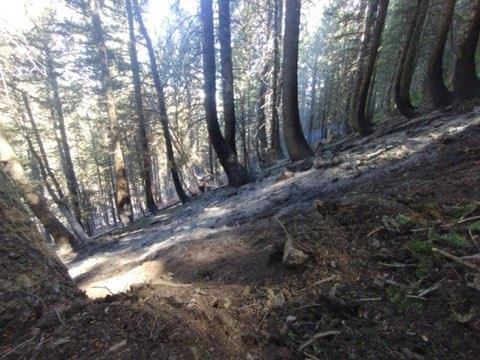 UWCNF's tweet photo. #uwcnf Ogden Ranger District Perry Fire located 5 miles SW of Mantua Reservoir is 100% contained at 5.2 acres.
#perryfire #FireYear2025 https://t.co/JBZ6rkcemo