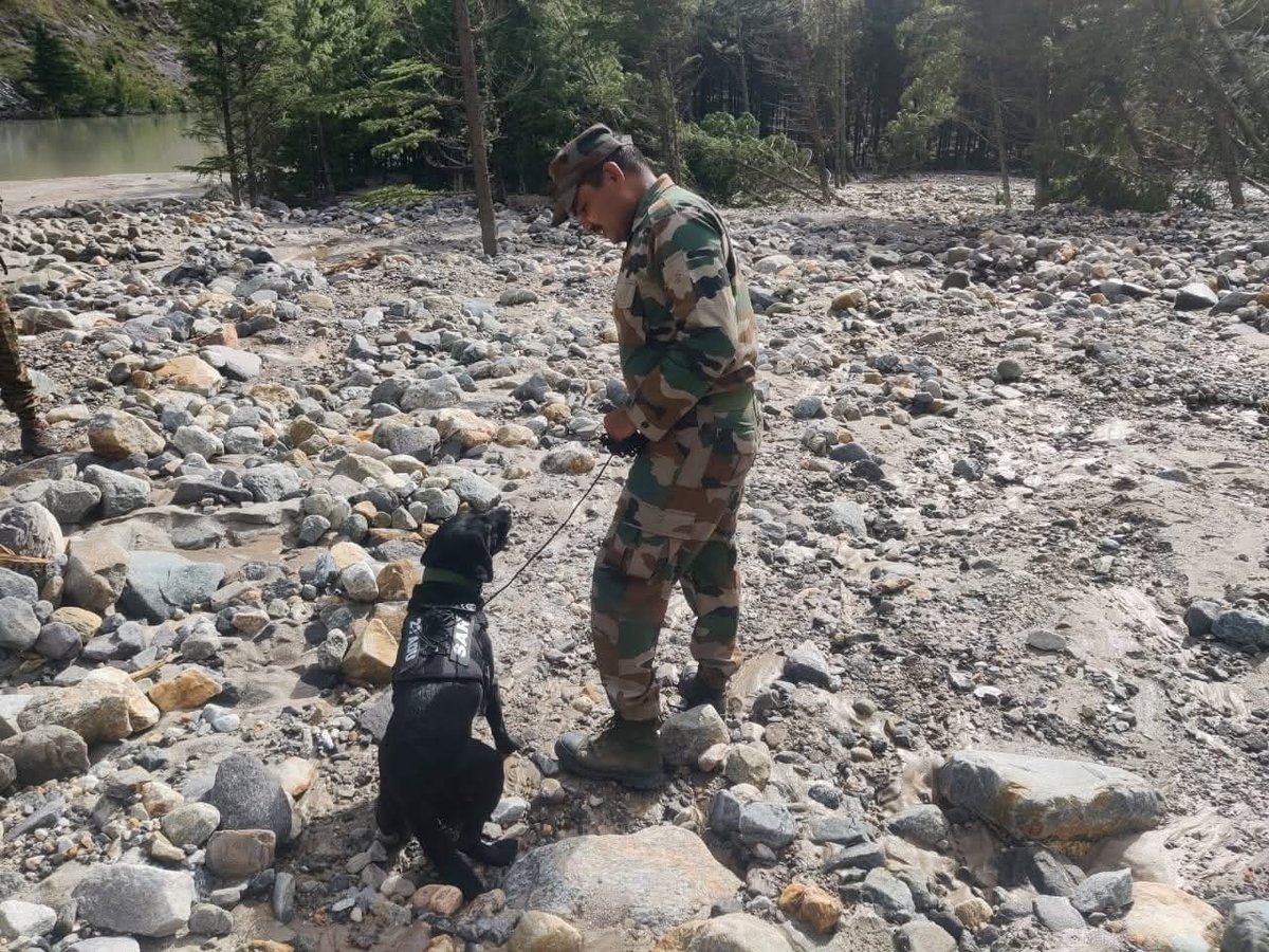 DefenceNewsOfIN's tweet image. Amidst the devastation in #Dharali and #Harsil, a team of six #Armydogs, including Hazel, Jansi, Sara, June, Opana, and Rahi, are deployed to search for survivors buried under debris.
