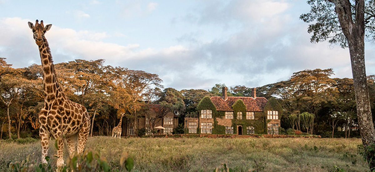 himaginism's tweet image. ケニアに行くので色々とホテルを探しているが、やはり最高に美しい景観のホテルが多数。一泊２０−３０万円くらいするホテルもあって、なかなか流石にサラリーマンには耐えられない金額。一度は泊まってみたい。