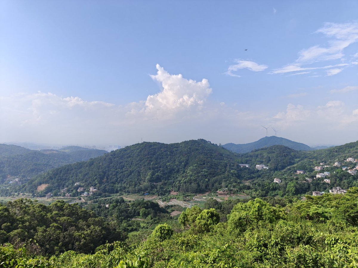 516626928sw's tweet photo. 8.8宝华山
虽然只有五百多米，没多高，但是骑自行车加步行是真的很累。附近没有什么比较高的山，是我目前爬过最高的山。山顶的景色是真的很棒！ https://t.co/kiKkgUBnzq