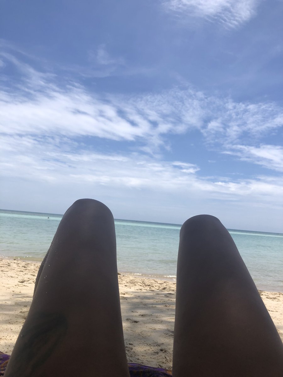DaciaRose88's tweet photo. Jellyfish season has commenced. Watch yourselves in the sea around dusk and dawn folks.
#jellies #thailand #merlife #findom #subfunded https://t.co/7UXzfnhEYa
