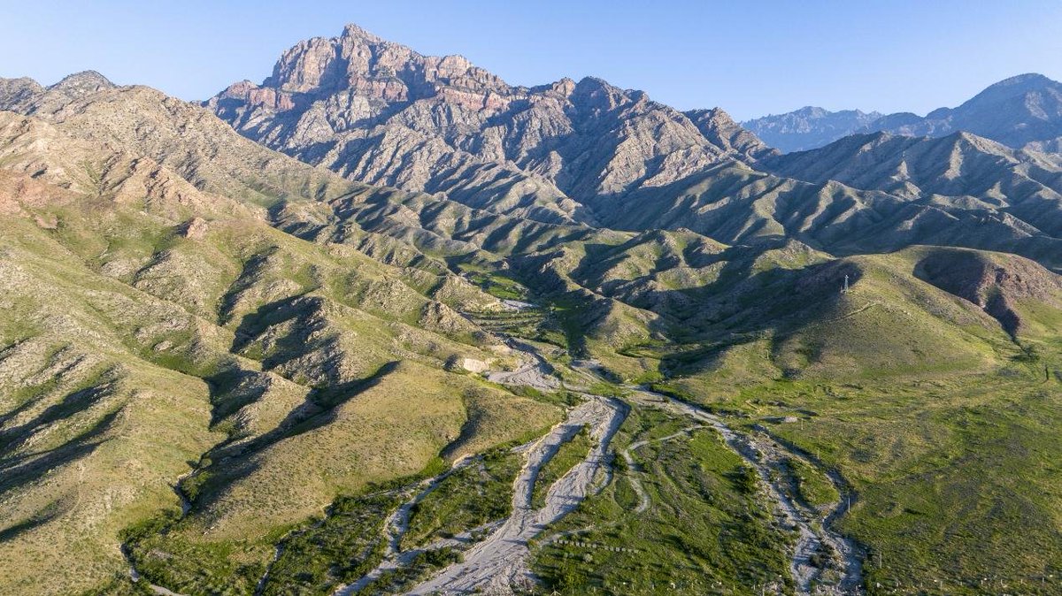 China_says's tweet photo. Lush greenery spreads across the foothills of Helan Mountain in Ningxia, where grasslands and trees flourish beneath the summer sun. The Helan Mountain Nature Reserve offers sweeping views and a peaceful escape into northwest China's wild beauty. https://t.co/GQyoasqSWL