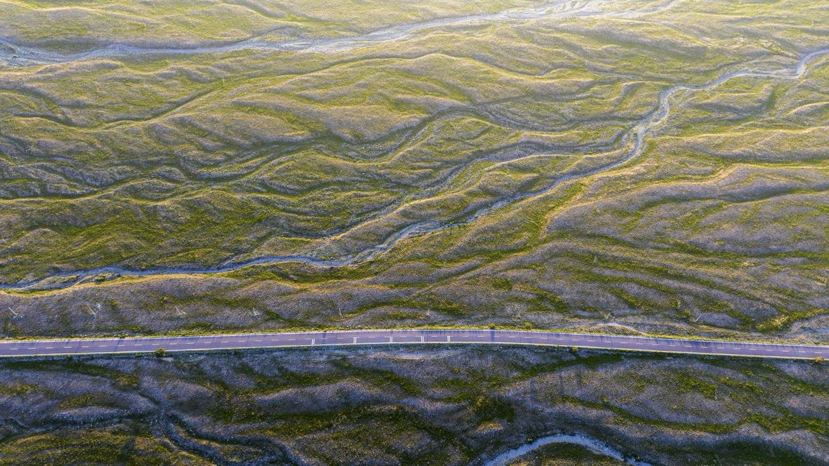 China_says's tweet photo. Lush greenery spreads across the foothills of Helan Mountain in Ningxia, where grasslands and trees flourish beneath the summer sun. The Helan Mountain Nature Reserve offers sweeping views and a peaceful escape into northwest China's wild beauty. https://t.co/GQyoasqSWL
