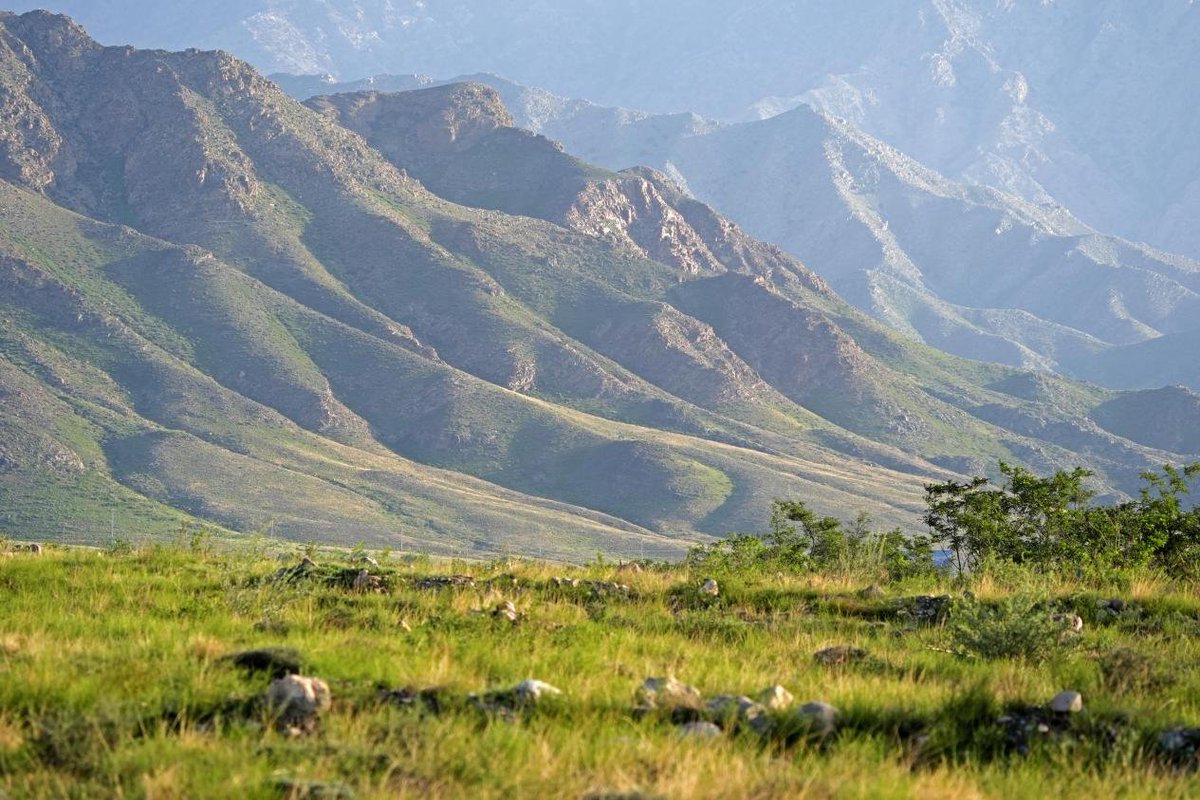 China_says's tweet photo. Lush greenery spreads across the foothills of Helan Mountain in Ningxia, where grasslands and trees flourish beneath the summer sun. The Helan Mountain Nature Reserve offers sweeping views and a peaceful escape into northwest China's wild beauty. https://t.co/GQyoasqSWL
