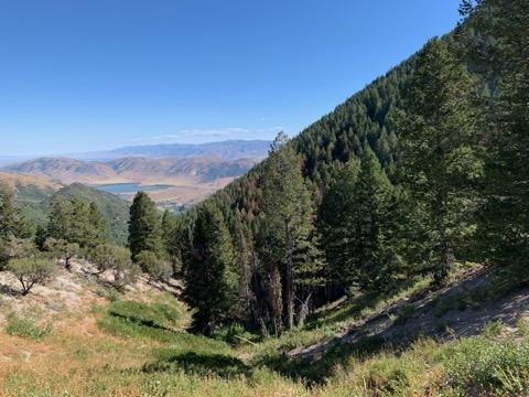 UtahWildfire's tweet photo. #uwcnf Ogden Ranger District Perry Fire located 5 miles SW of Mantua Reservoir is 100% contained at 5.2 acres.
#perryfire #FireYear2025 https://t.co/O0VMAw0HeH