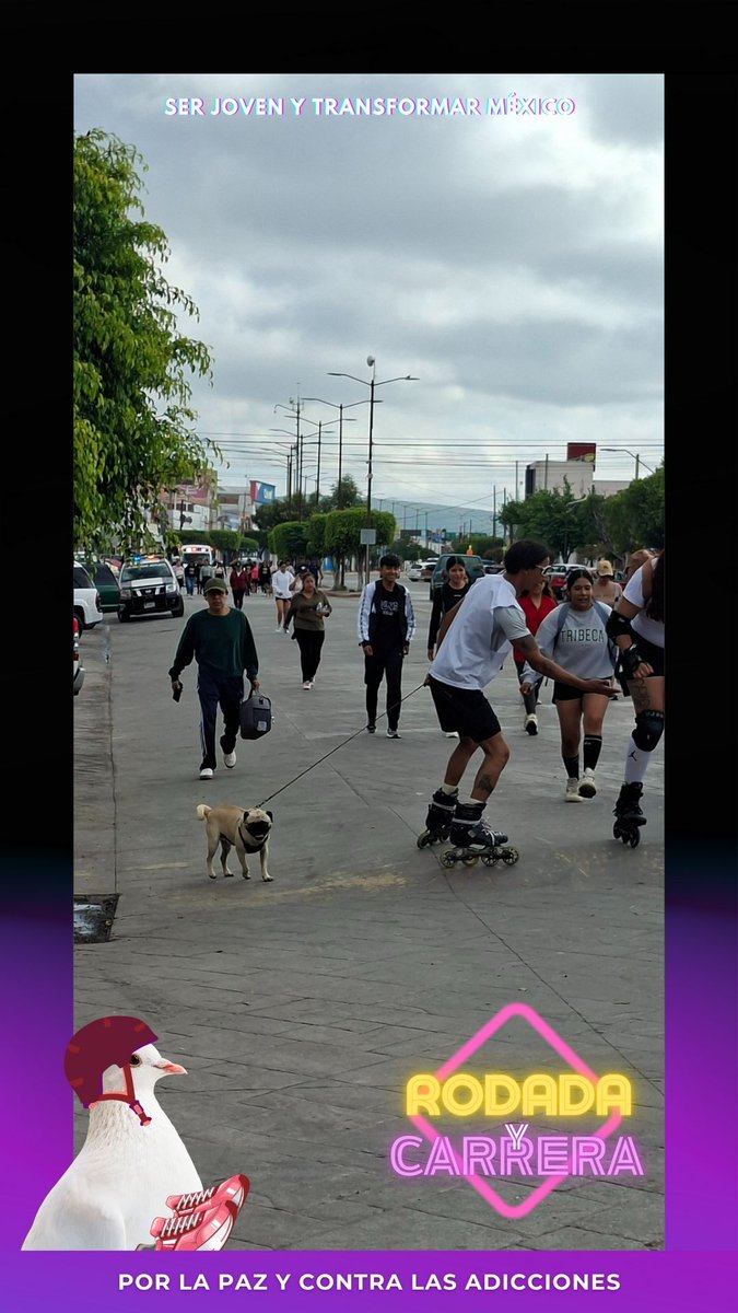 Tec_SanJuan's tweet image. 📍 Ezequiel Montes
🚴‍♀️🏃‍♂️ #TecNMenAcción #InformaTec
En el #DíaDeLaJuventud2025, el #TecNM - San Juan del Río participó en la Rodada y Carrera Nacional por la Paz y Contra las Adicciones. 💛
#JuventudesQueTransforman #RodadaJovenLaPaz
#ComunidadTecNM  #TecSanJuan ⚪🔴🔵