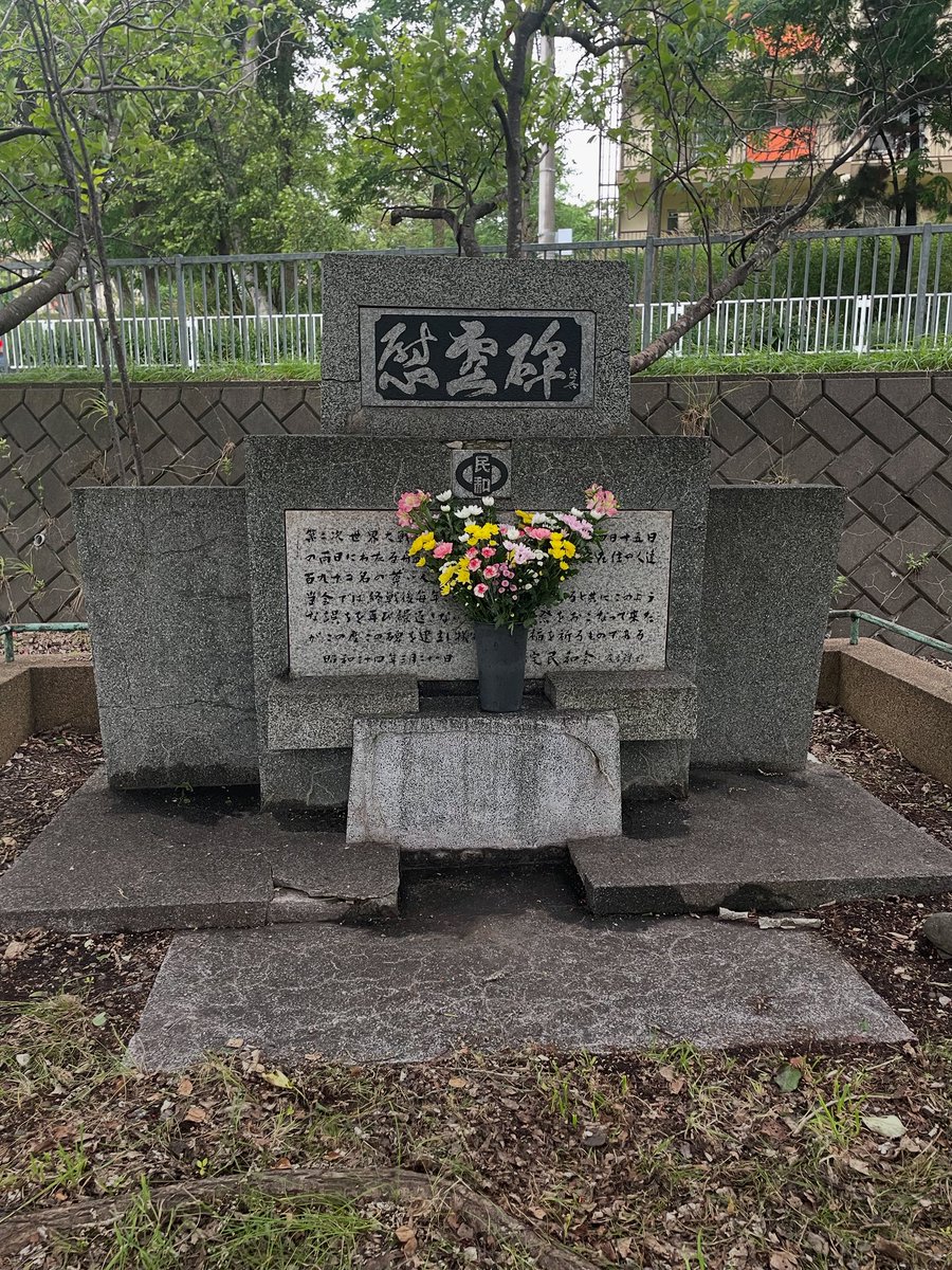 NMB48 森彩華 生写真 セット 5枚 NMB48 森彩華 生写真 セット 5枚