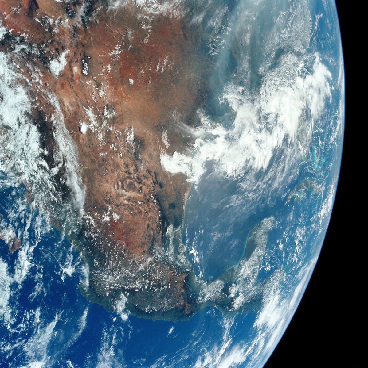 World and Science tweet media